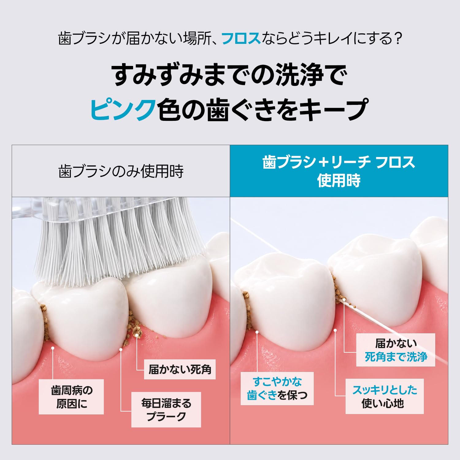 Amazon | 【リーチ】デンタルフロス ワックス 50m 無香料 狭い歯間
